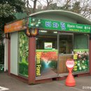 제주 평대리 비자나무 숲 티스토리