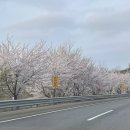 주간일기 153번째