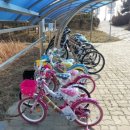 신성리생태공원 이미지