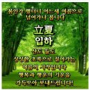 《나눔완료》꿈결방장님께 빠른쾌유를 빌면서 보내드립니다 이미지