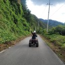 스피드존 이미지