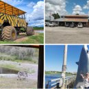 우주농장 이미지