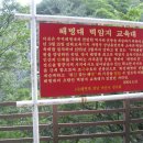 봉암대교 이미지