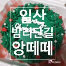 [일산 레터링 케이크] 크리스마스 레터링케이크 후기 밤리단길 앙떼떼!(영업정보및주차정보)