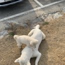 엘린발레학원 이미지