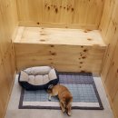 멍라이프 이미지