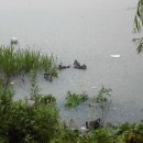 한강 자전거도로3 이미지