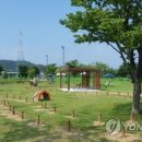 동락공원 반려동물 놀이터 연합뉴스