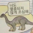 시와 노래 그리고 마을 영월드 | 간호학과의 일본 교환학생 후기 💭🤍