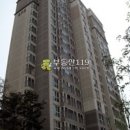 분당-226 이미지