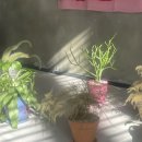 영등동-56 이미지