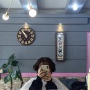 서석초등학교앞 | 강원도 홍천미용실 머리 잘하는 곳, 서석 예쁜머리방[홍천아이롱펌] 찐만족 후기