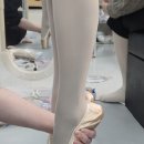포인핏 | 취미발레 일기 토슈즈 피팅 후기 포인핏 강추