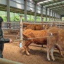 박주원농장 이미지