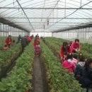 창현농장 이미지