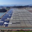 태평태양광발전소 이미지
