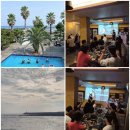 제주도 게스트하우스 파티 빅썸 | 제주도의 밤, 잊지 못할 추억! 빅썸 게스트하우스 파티 후기