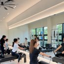 스타핏(STAR FIT) | [세련핏필라테스] 창녕필라테스 | 거북목·라운드숄더 원데이클래스 후기, 바른 자세의 시작은 움직임...