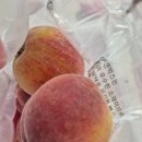 매향농장 이미지