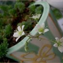 송정하우스 이미지