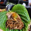 통달배함평점