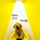해피투개더 이미지