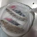 주부세탁 이미지