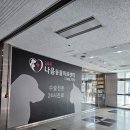 다나음동물병원 | [고양/일산] 고양이 건강검진 일산동물병원 : 24시 나음동물의료센터