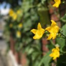 중부타이어 이미지