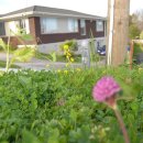 (주)쉐어웨이 이미지