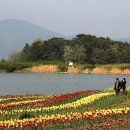 장평해안길 이미지