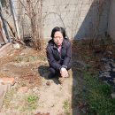 강림이용소 이미지