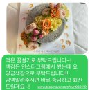 맛집탐방기 : 동대문 청량리 제기동 떡맛집 기쁜소식미, 떡케이크 내돈내산 후기 2탄(경동시장 청년몰)