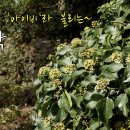 송악 이미지