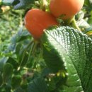 용당경로당 이미지