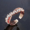 클라비스 이미지