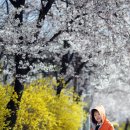 태조산 공원 이미지