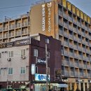 성산골든펜션 | 제주성산골든튤립 디럭스 킹 오션뷰 솔직후기
