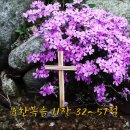 오포1동-15 이미지