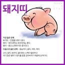 2019 기해년 띠별 궁합표 이미지