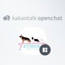 김동권 독 트레이닝센터 이미지