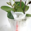 영인한의원 이미지