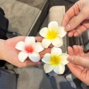 주식회사 수영사랑 | 그대 작은 나의 세상이 되어