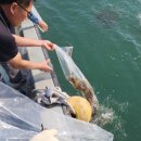 해삼수산 이미지