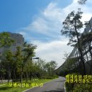 동상동(1450) 네이버블로그