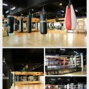 USA 복싱짐 이미지