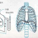 호흡과명상 이미지