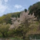 대복가든 이미지