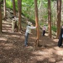 전남유아교육진흥원 기후위기대응 및 생태환경교육 체험프로그램 직무연수 실시[미래교육신문] 이미지