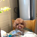 주포주유소 네이버블로그